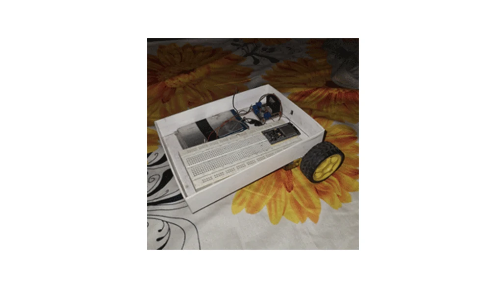 Portfolio Image